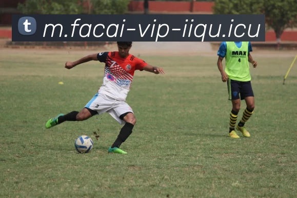 乐竞体育服务体系